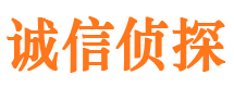 武侯市私家调查